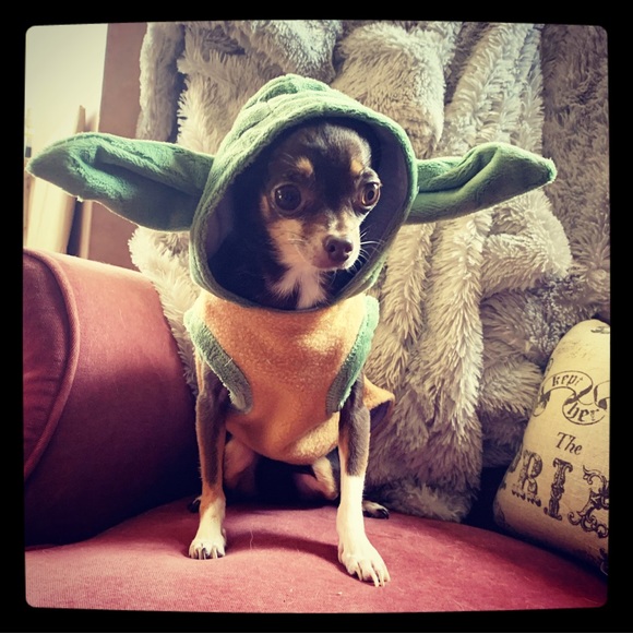 🌈New hair, who dis?🌈Meet your Posher, Cat - Picture 12 of 16